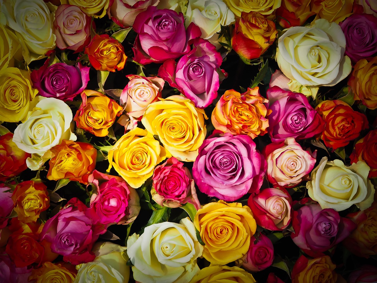 Zdjęcie - Kwiaty na dzień matki, róże w różnych kolorach